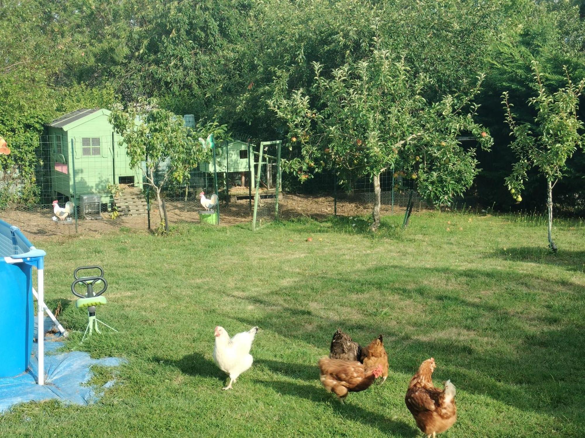 Un Studio Avec Une Entree Independante Thilouze Εξωτερικό φωτογραφία
